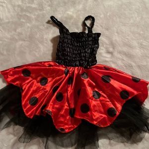🎃 Lady bug costume, 24 months, has spot to Velcro wings on back🎃